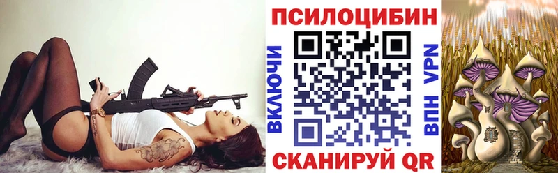 купить  сайты  Княгинино  Псилоцибиновые грибы Psilocybe 