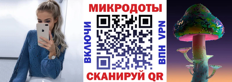 Галлюциногенные грибы Cubensis Княгинино